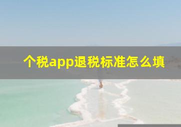 个税app退税标准怎么填