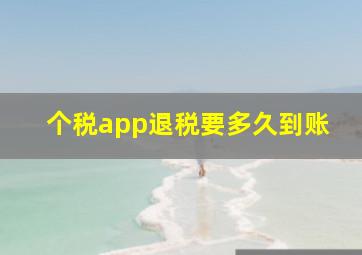 个税app退税要多久到账