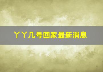 丫丫几号回家最新消息