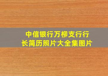 中信银行万柳支行行长简历照片大全集图片