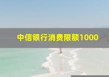 中信银行消费限额1000