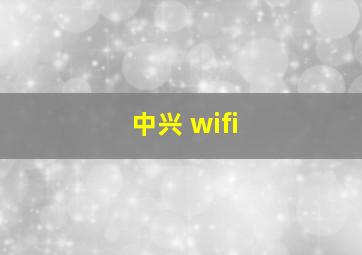 中兴 wifi