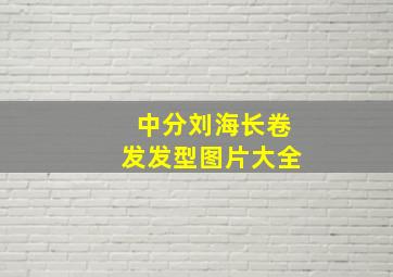 中分刘海长卷发发型图片大全