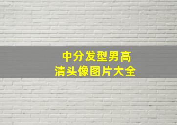 中分发型男高清头像图片大全