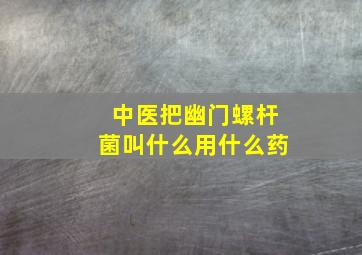 中医把幽门螺杆菌叫什么用什么药