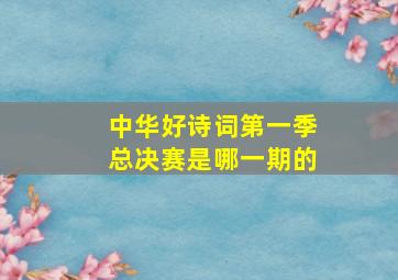 中华好诗词第一季总决赛是哪一期的