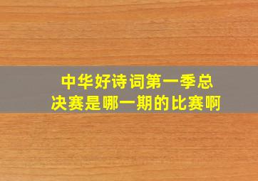 中华好诗词第一季总决赛是哪一期的比赛啊