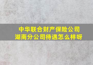 中华联合财产保险公司湖南分公司待遇怎么样呀