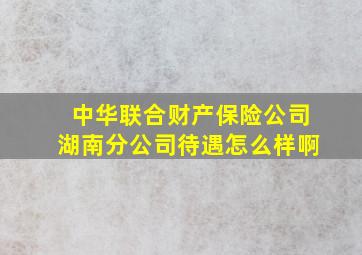 中华联合财产保险公司湖南分公司待遇怎么样啊