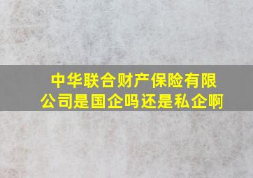 中华联合财产保险有限公司是国企吗还是私企啊