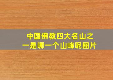 中国佛教四大名山之一是哪一个山峰呢图片