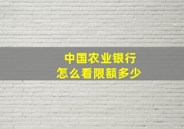 中国农业银行怎么看限额多少