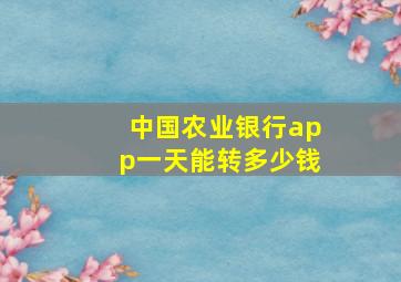 中国农业银行app一天能转多少钱