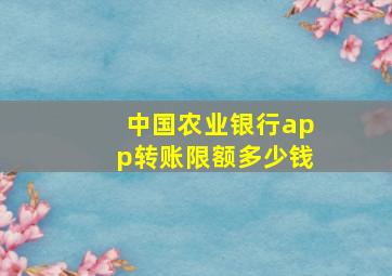 中国农业银行app转账限额多少钱