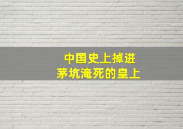 中国史上掉进茅坑淹死的皇上