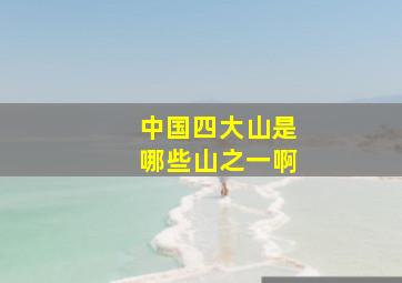 中国四大山是哪些山之一啊