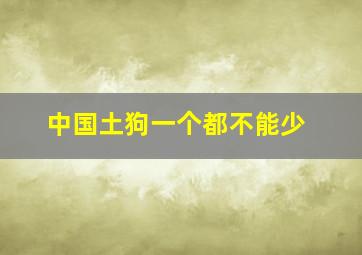 中国土狗一个都不能少