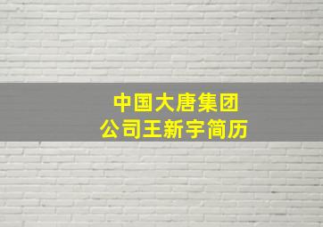 中国大唐集团公司王新宇简历