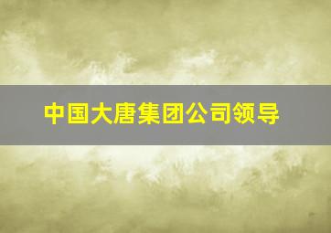 中国大唐集团公司领导