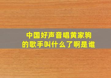 中国好声音唱黄家驹的歌手叫什么了啊是谁