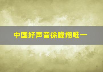 中国好声音徐暐翔唯一