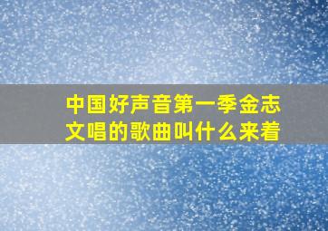 中国好声音第一季金志文唱的歌曲叫什么来着