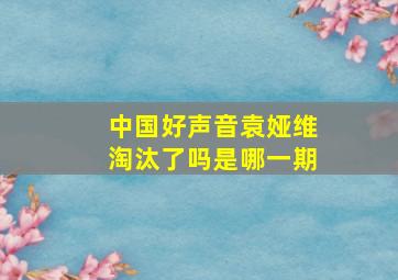 中国好声音袁娅维淘汰了吗是哪一期