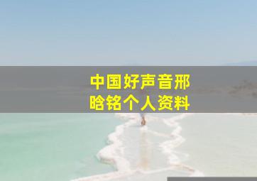 中国好声音邢晗铭个人资料