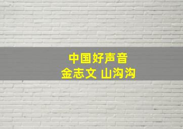 中国好声音 金志文 山沟沟