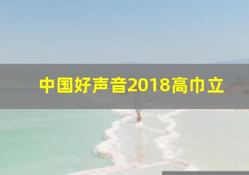 中国好声音2018高巾立