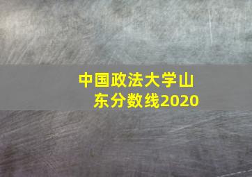 中国政法大学山东分数线2020