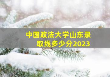 中国政法大学山东录取线多少分2023