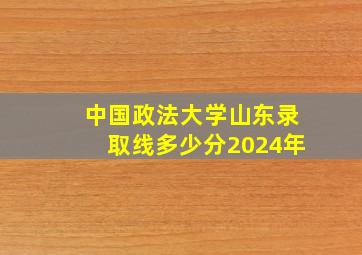 中国政法大学山东录取线多少分2024年