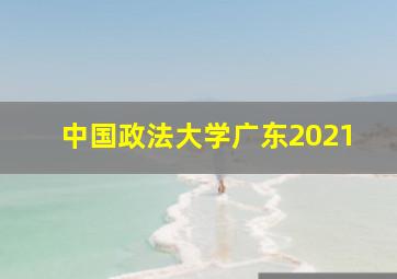 中国政法大学广东2021