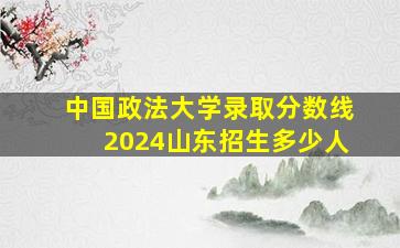 中国政法大学录取分数线2024山东招生多少人