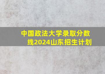 中国政法大学录取分数线2024山东招生计划