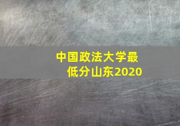 中国政法大学最低分山东2020