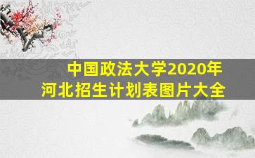 中国政法大学2020年河北招生计划表图片大全