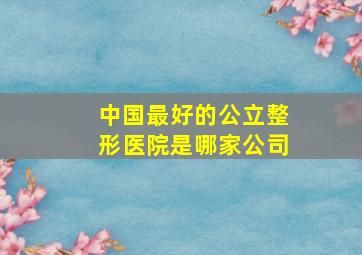 中国最好的公立整形医院是哪家公司