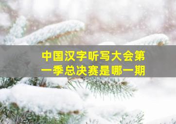 中国汉字听写大会第一季总决赛是哪一期