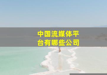 中国流媒体平台有哪些公司