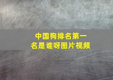 中国狗排名第一名是谁呀图片视频