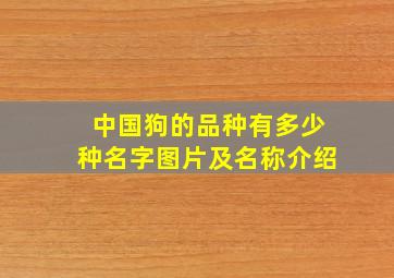 中国狗的品种有多少种名字图片及名称介绍