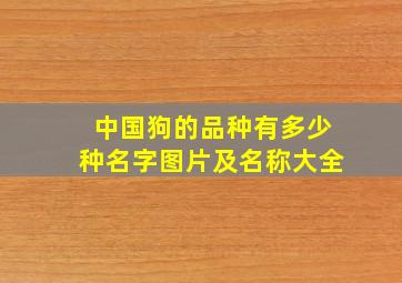 中国狗的品种有多少种名字图片及名称大全