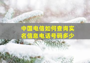 中国电信如何查询实名信息电话号码多少