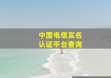 中国电信实名认证平台查询