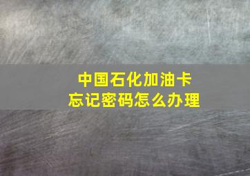 中国石化加油卡忘记密码怎么办理