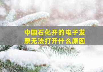 中国石化开的电子发票无法打开什么原因