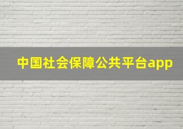 中国社会保障公共平台app