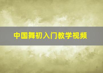 中国舞初入门教学视频